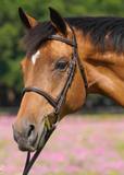 M. Toulouse Sanft Curved Mouth Hunter D-Bit