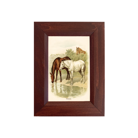 Madison Bay Co. Three Horses Vintage Illustration 4"x6" Framed Print