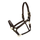 Shires Velociti Lusso Girona Leather Halter