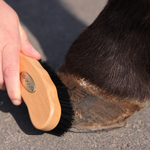 Shires EZI-Groom Premium Hoof Brush