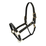 Shires Velociti Lusso Girona Leather Halter
