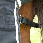 Shires Highlander Plus 200G Standard Neck Blanket