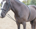 Shires Soft Lunging Aid