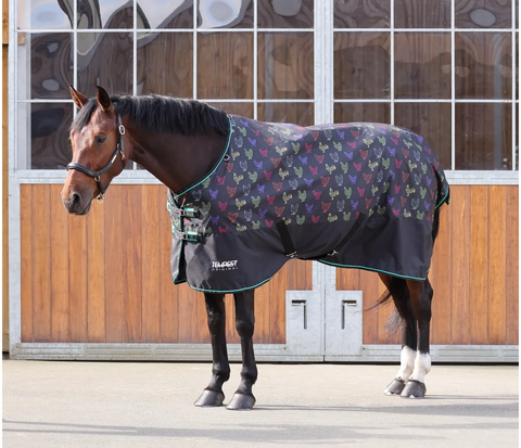 Shires Tempest Original Lite Turnout