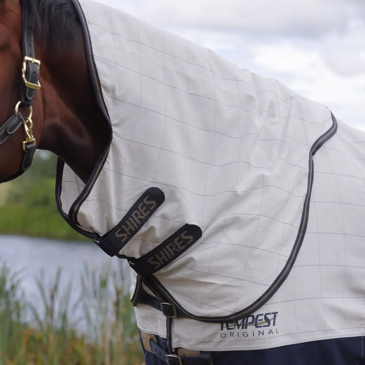 Shires Tempest Original Summer Shield Set – Equitique-USA