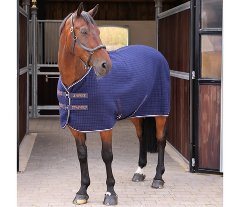 Shires Tempest Original Tech Cooler