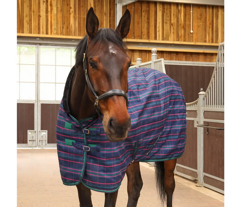 Shires Tempest Plus 100G Stable Sheet