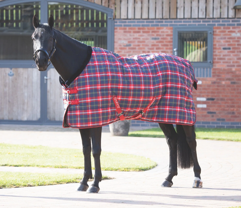 Shires Tempest Plus 200G Stable Rug