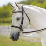 Signature by Antarès Hunter Bridle