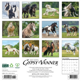 Willow Creek Press Gypsy Vanner Horse 2025 Wall Calendar