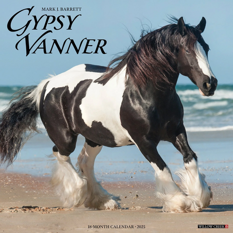 Willow Creek Press Gypsy Vanner Horse 2025 Wall Calendar