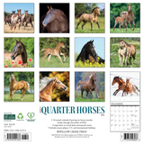 Willow Creek Press American Quarter Horses 2025 Wall Calendar