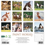 Willow Creek Press Paint Horses 2025 Wall Calendar