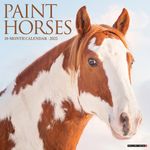 Willow Creek Press Paint Horses 2025 Wall Calendar