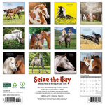 Willow Creek Press Seize the Hay 2025 Wall Calendar