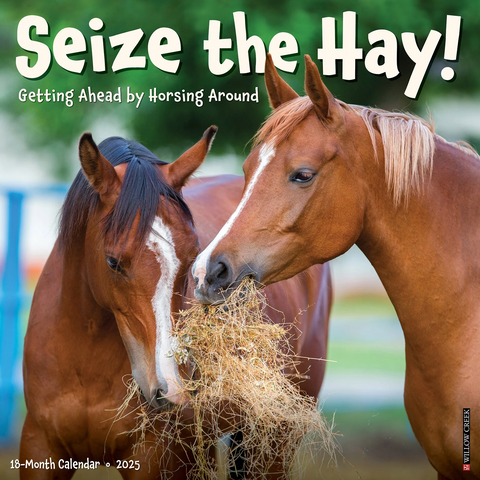 Willow Creek Press Seize the Hay 2025 Wall Calendar