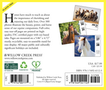 Willow Creek Press What Horses Teach Us 2025 Box Calendar