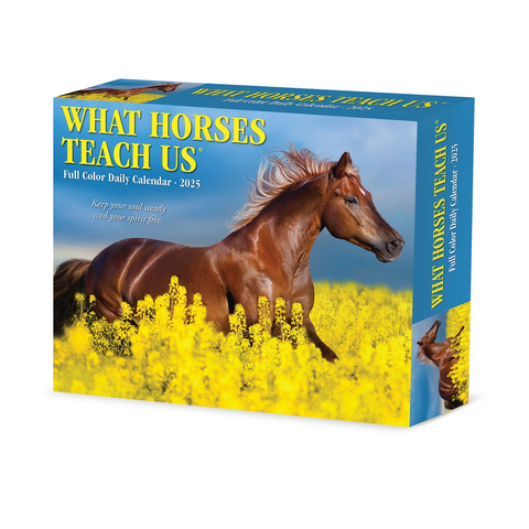 Willow Creek Press What Horses Teach Us 2025 Box Calendar