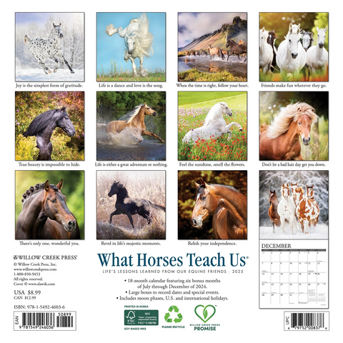 Willow Creek Press What Horses Teach Us 2025 Mini Wall Calendar