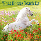 Willow Creek Press What Horses Teach Us 2025 Mini Wall Calendar