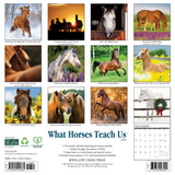 Willow Creek Press What Horses Teach Us 2025 Wall Calendar