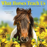 Willow Creek Press What Horses Teach Us 2025 Wall Calendar