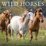 Willow Creek Press Wild Horses 2025 Wall Calendar