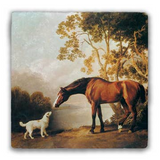 Equestrian Tumbled Stone Coaster