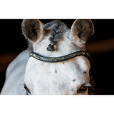 Metallic Bedazzled Curved Browband