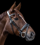 Waldhausen S-Line Glamour Pullback Bridle