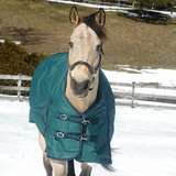 Grewal Equestrian 1680D Heavy Weight Turnout Blanket