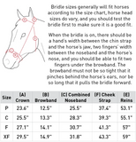 Horze Montrose Dressage Bridle