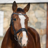 Horze Montrose Dressage Bridle
