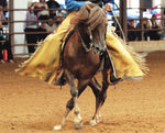 Breyer MorganQuest Native Sun