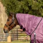 Equinavia Norse Mid Weight 200g Neck Cover