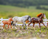 Breyer Playful Pony Family Set