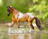 Breyer Red Dun Pintaloosa