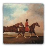 Equestrian Tumbled Stone Coaster