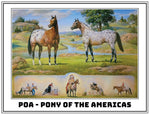 Breyer Orren Mixer Ideal Pony of Americas