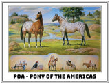 Breyer Orren Mixer Ideal Pony of Americas