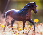 Breyer Vivaldi de Besilu