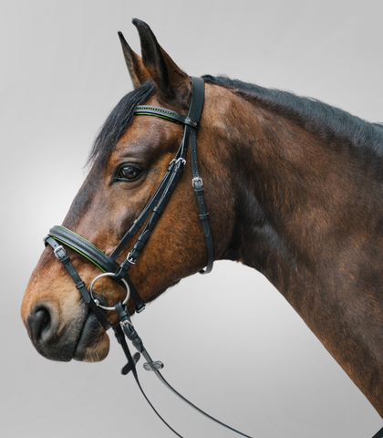 Waldhausen Bridle Star Diamond, English Combined, with Reins