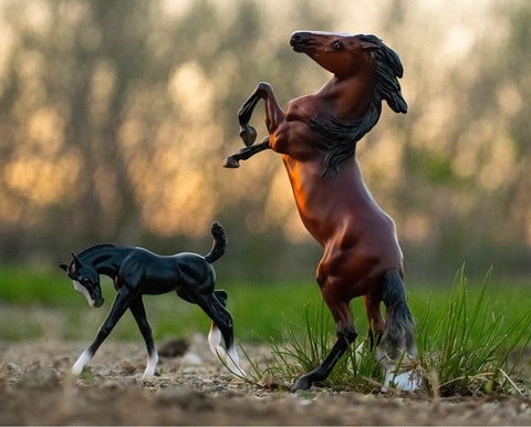 Breyer Wild & Free Horse & Foal Set