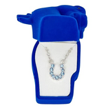 AWST International Rhinestone Horseshoe Necklace with Horse Head Gift Box