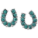 AWST International Rhinestone Horseshoe Earrings with Horse Head Gift Box