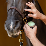 EquiFit AgSilver Cleanbalm