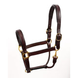 Perri's Leather Fancy Stitched Leather Halter - Equitique-USA