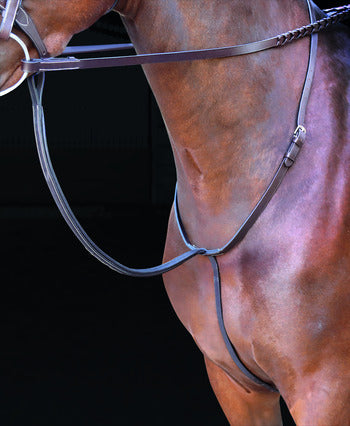 Rossano Standing Martingale - Equitique-USA