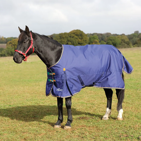 Shires Highlander Plus 100G Standard Neck
